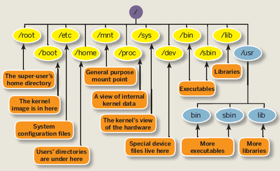 linux-filesystem-hierarchy-standard